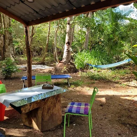 Jungle Tent 3X3, Latino Glamping & Tours, Paquera Exterior photo