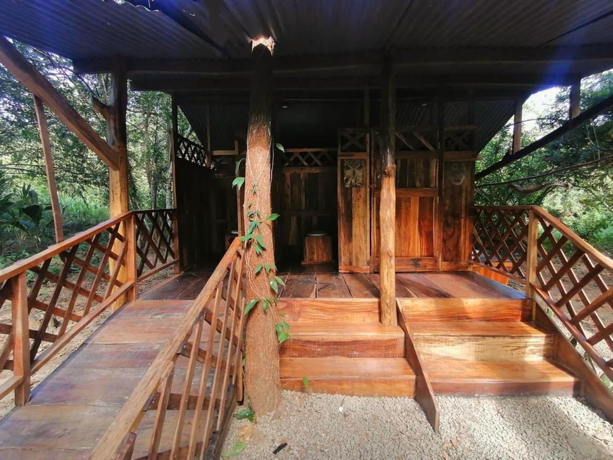 Campo de lujo Jungle Tent 3x3, Latino Glamping&tours, *