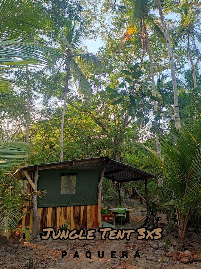 Jungle Tent 3x3, Latino Glamping&tours, Paquera