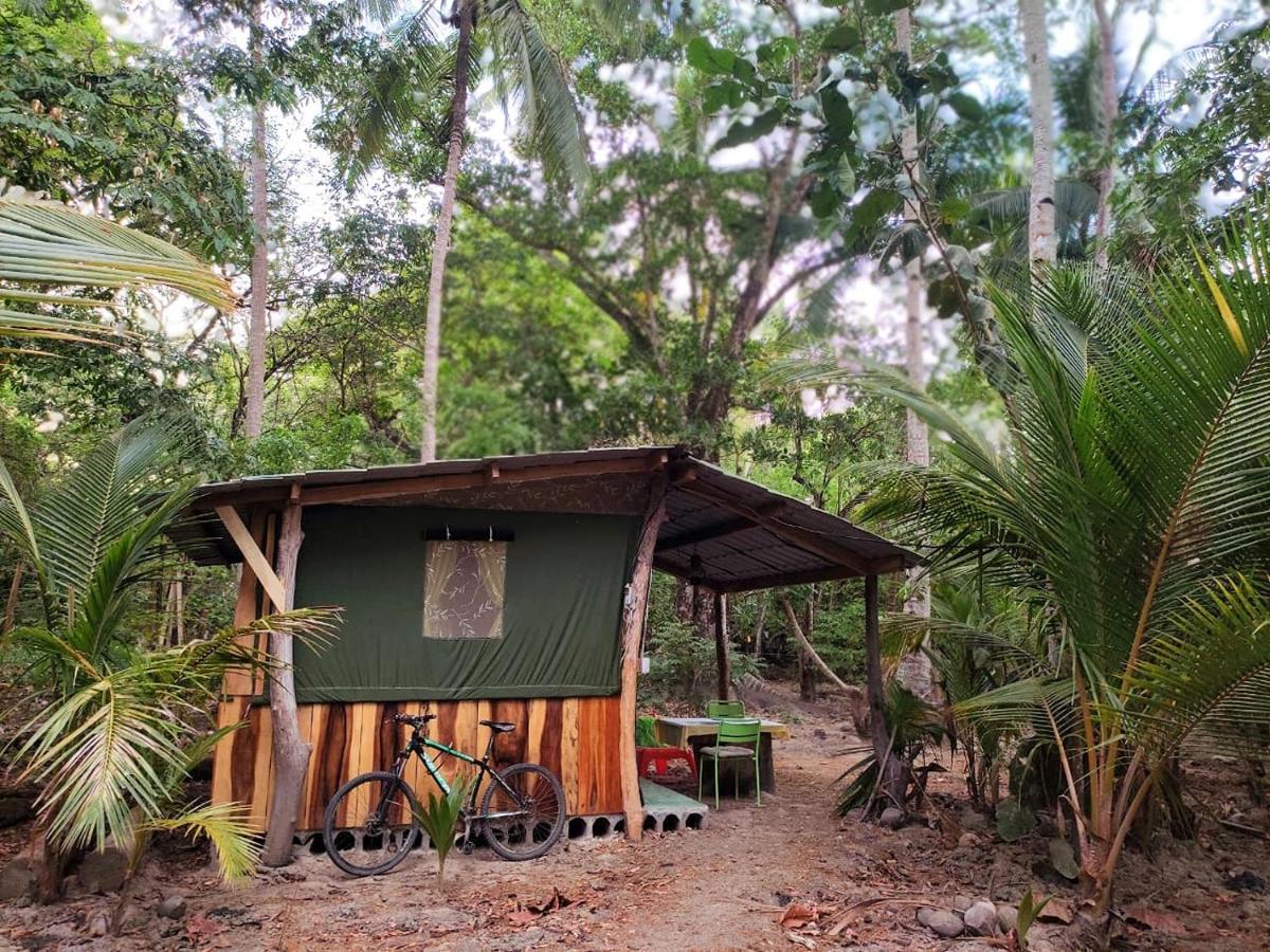 Campo de lujo Jungle Tent 3x3, Latino Glamping&tours,