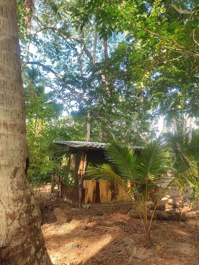 Campo de lujo Jungle Tent 3x3, Latino Glamping&tours, *